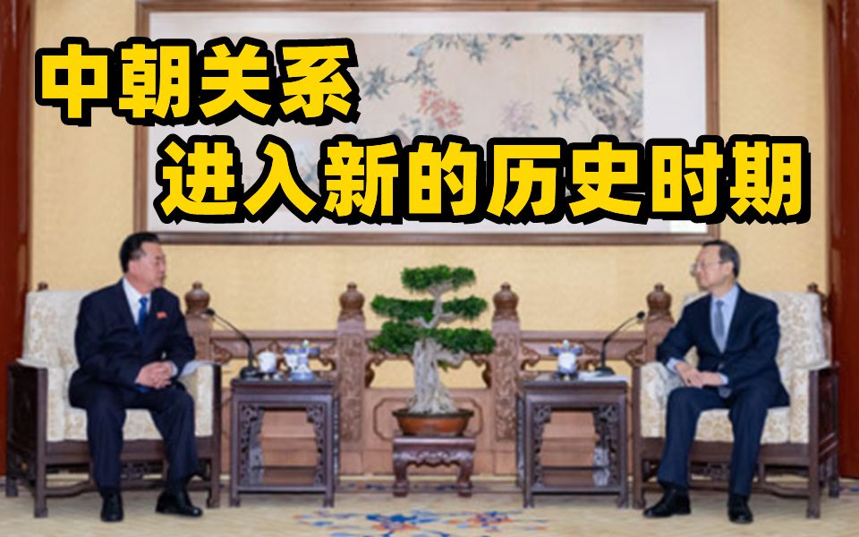 Download Video: 杨洁篪会见朝鲜驻华大使李龙男：中朝关系进入新的历史时期