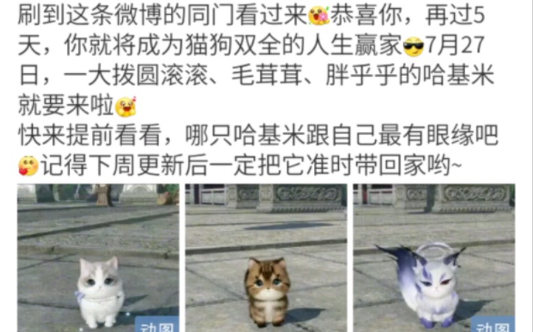 [图]有人说，要养只狗叫血河哈哈哈哈哈哈哈哈哈哈哈