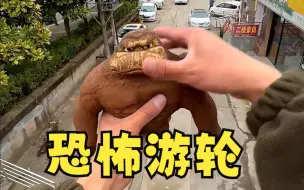 Download Video: 王总陷入无限循环了