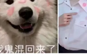 Download Video: 【奉天承芸】芸姐指着这个衣服的表情跟某个表情包莫名契合：我鬼混回来了～就是不知道这些唇印是谁亲的～