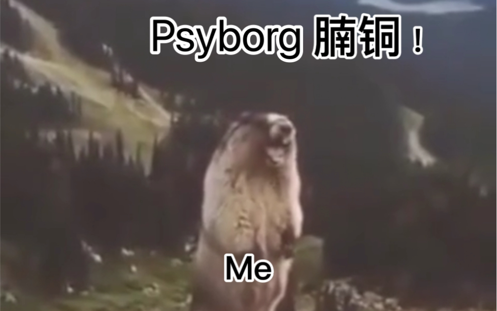 【Psyborg/推特互动】推特小集锦+自言自语哔哩哔哩bilibili