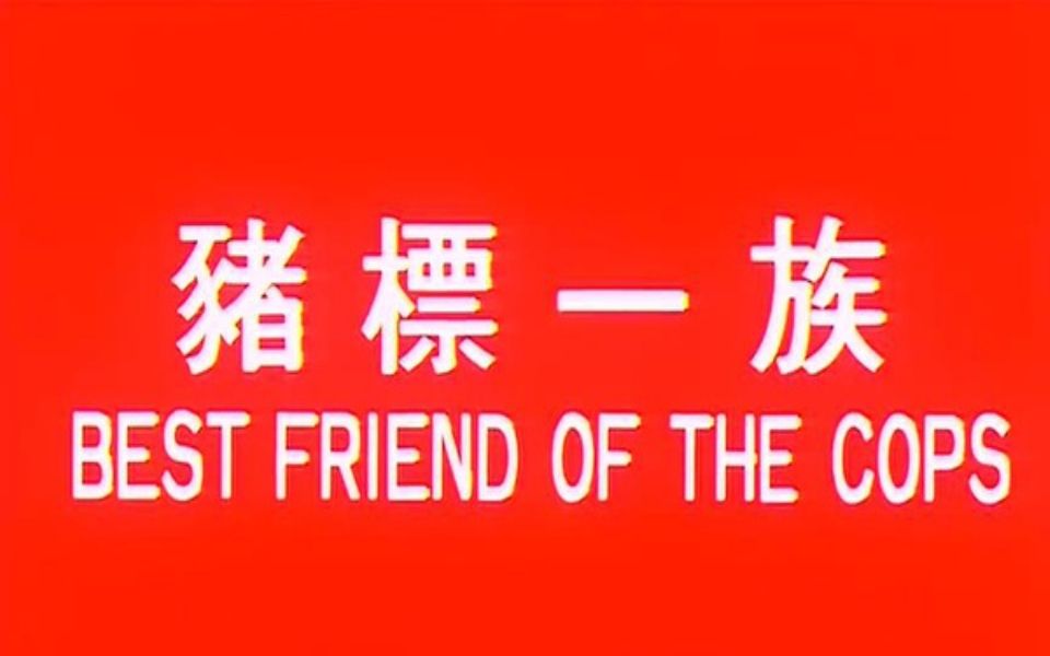 【喜剧/粤语】猪标一族 1990【中英双字】张学友 万梓良 秦沛【香港】