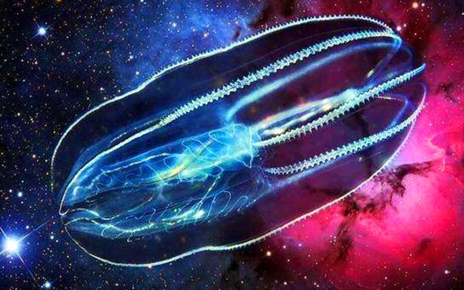 维度理论暗指外星生物潜伏在人类世界,人类维度过低无法发现他们