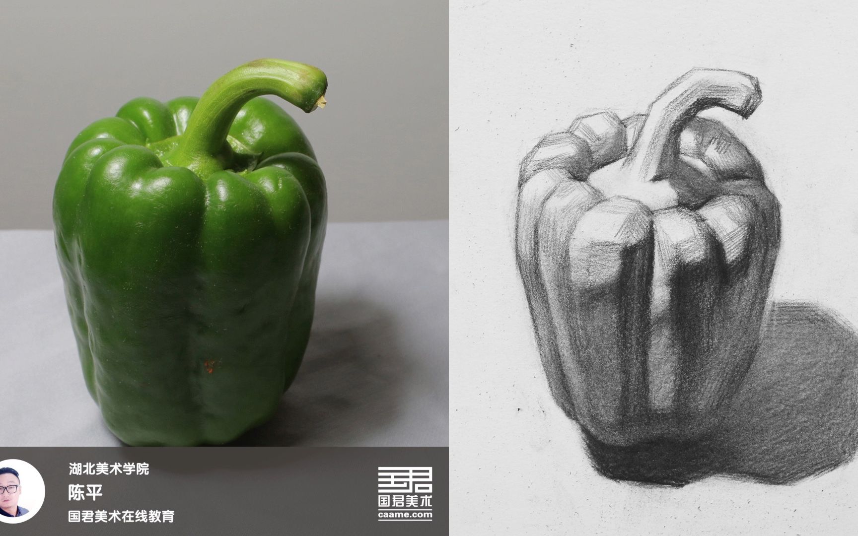 「国君美术」素描静物_单体_胖青椒_大关系_陈平_2017