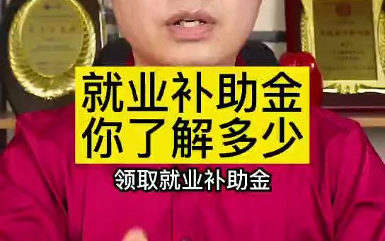 就业补助金你了解多少哔哩哔哩bilibili