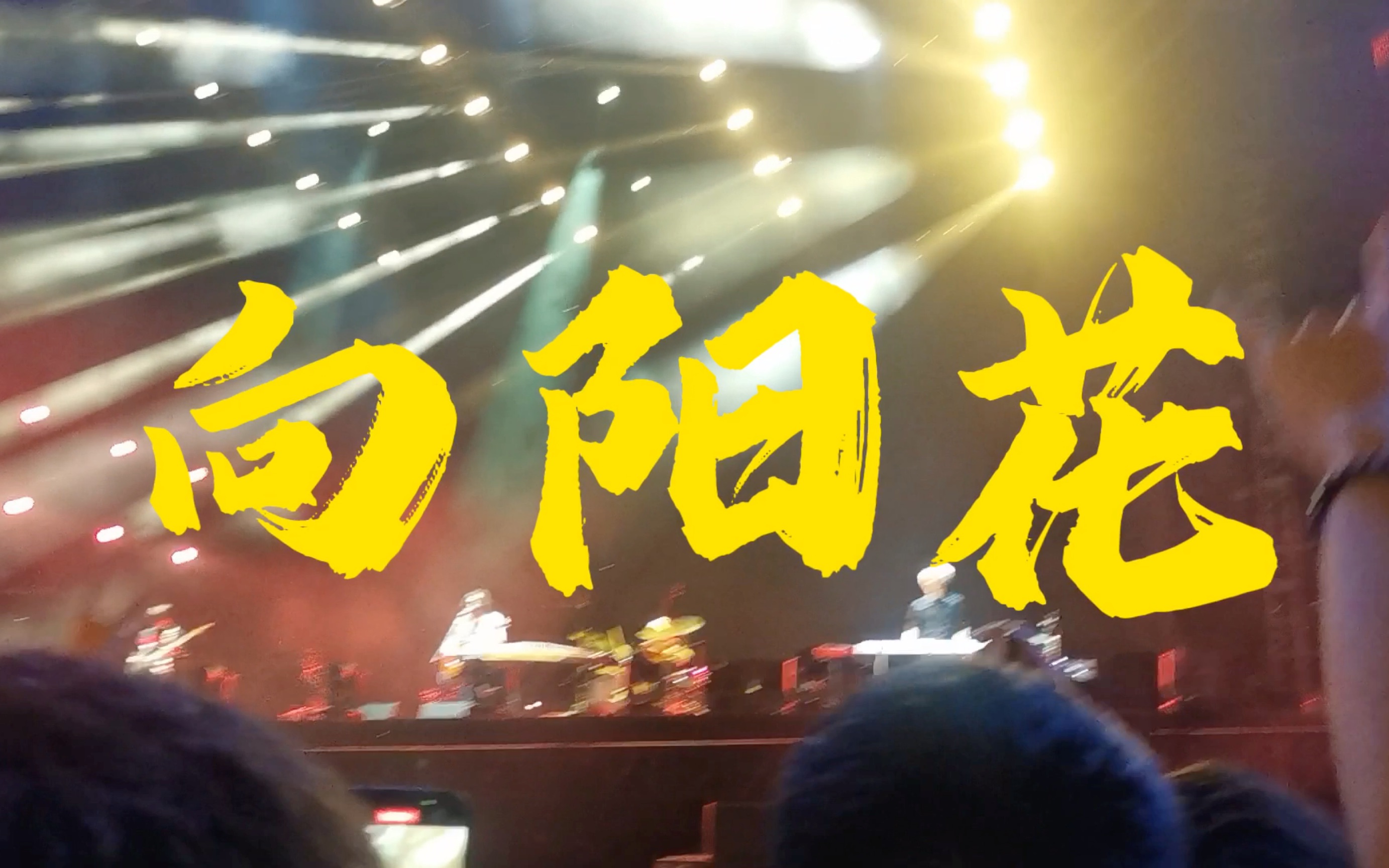 【泰安新青年音乐节】谢天笑 《向阳花》