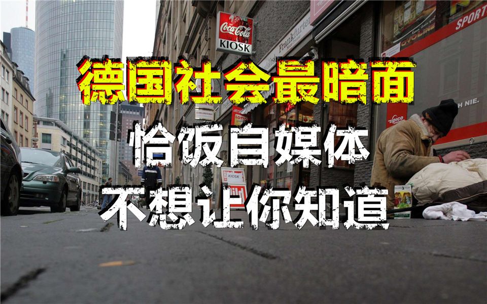 德国社会最暗面 恰饭自媒体 不想让你知道哔哩哔哩bilibili