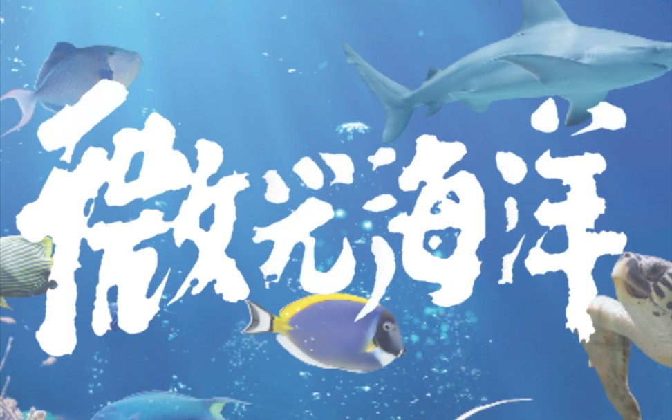 周深演唱微光海洋的油管评论区