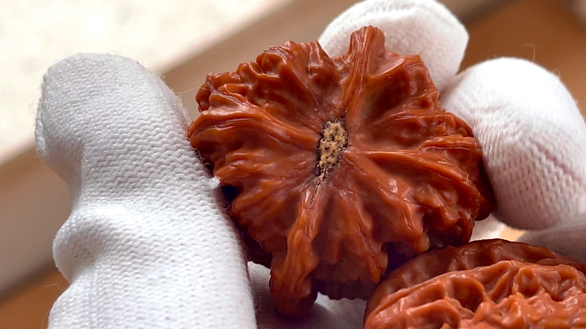 野生原树火焰(2020年果)