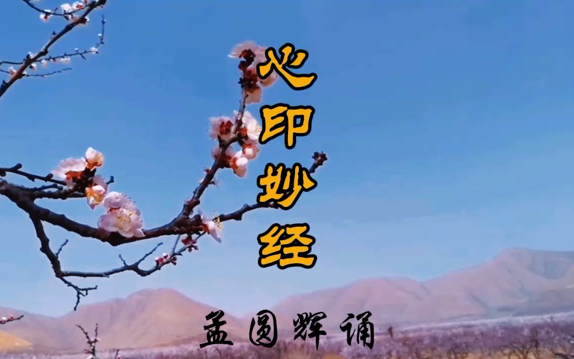 《心印妙经》孟圆辉版 道乐 经韵哔哩哔哩bilibili