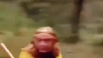 花 果 山 电 报 猿