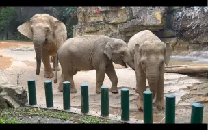 Скачать видео: 卷，希望莉娜妈咪给你的爱，能让你在未来的象生中充满力量～