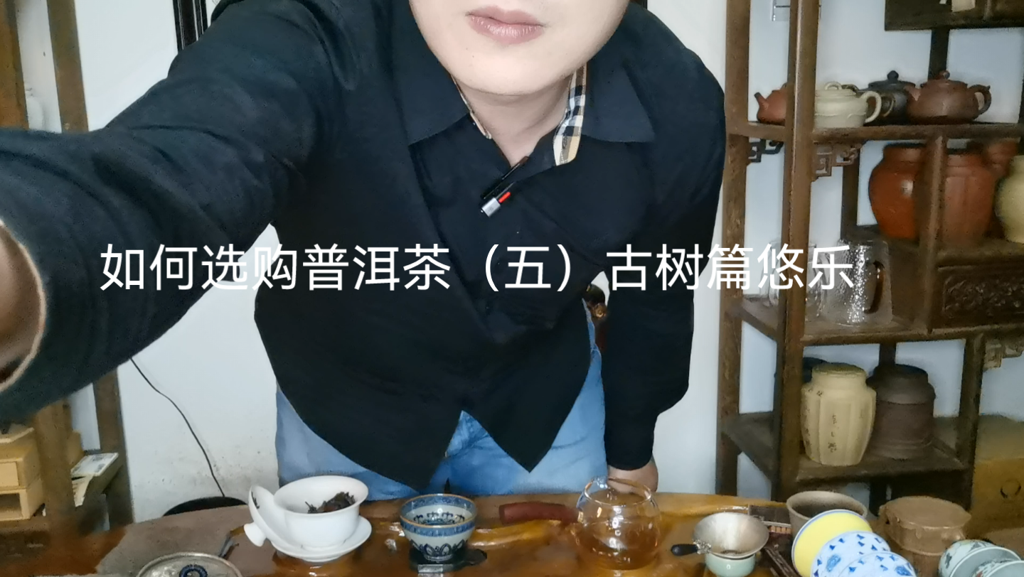 如何选购普洱茶之古树纯料篇哔哩哔哩bilibili