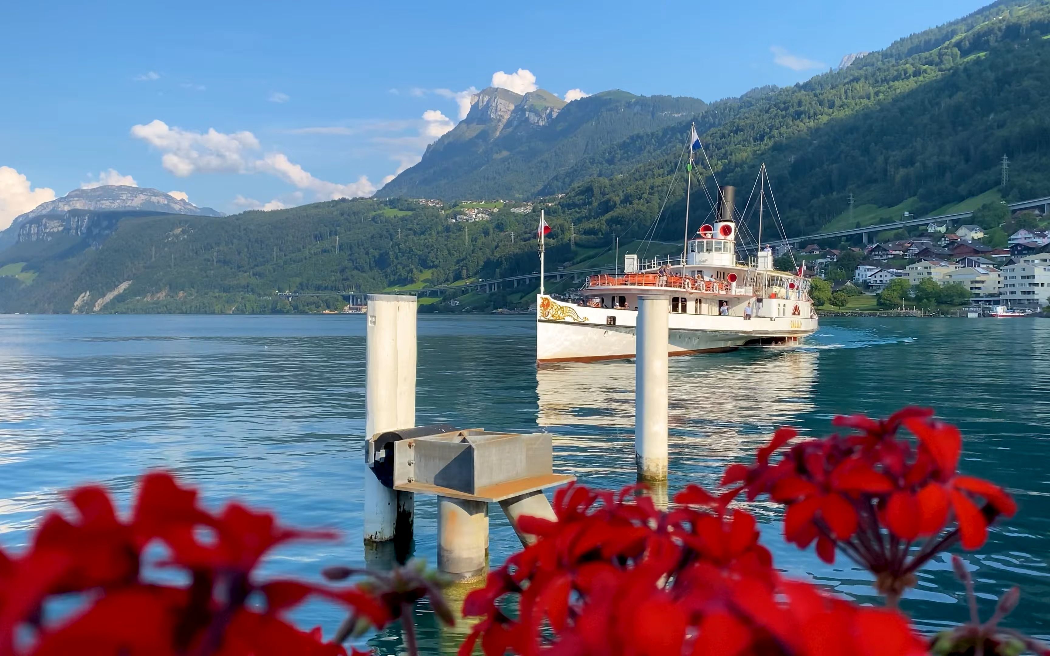 云游世界 丨 瑞士漫步【4k超清】贝肯里德 瑞士卢塞恩湖上的一颗明珠