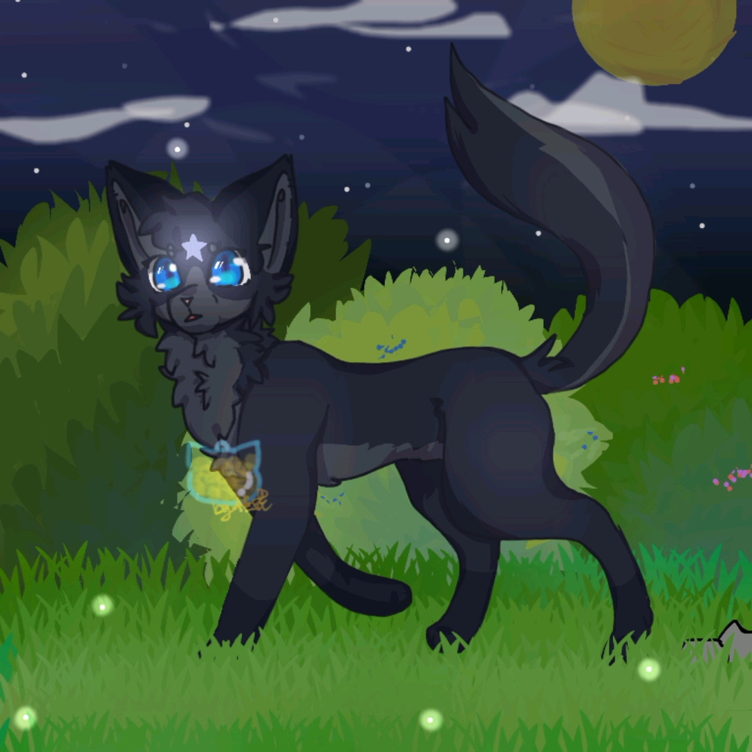 warriors-猫武士 蓝星 兽圈 不要盗