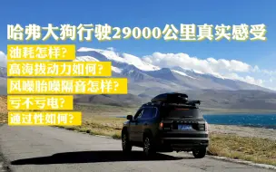 Download Video: 哈弗大狗行驶29000公里用车感受，真实油耗以及亏电等一系列问题