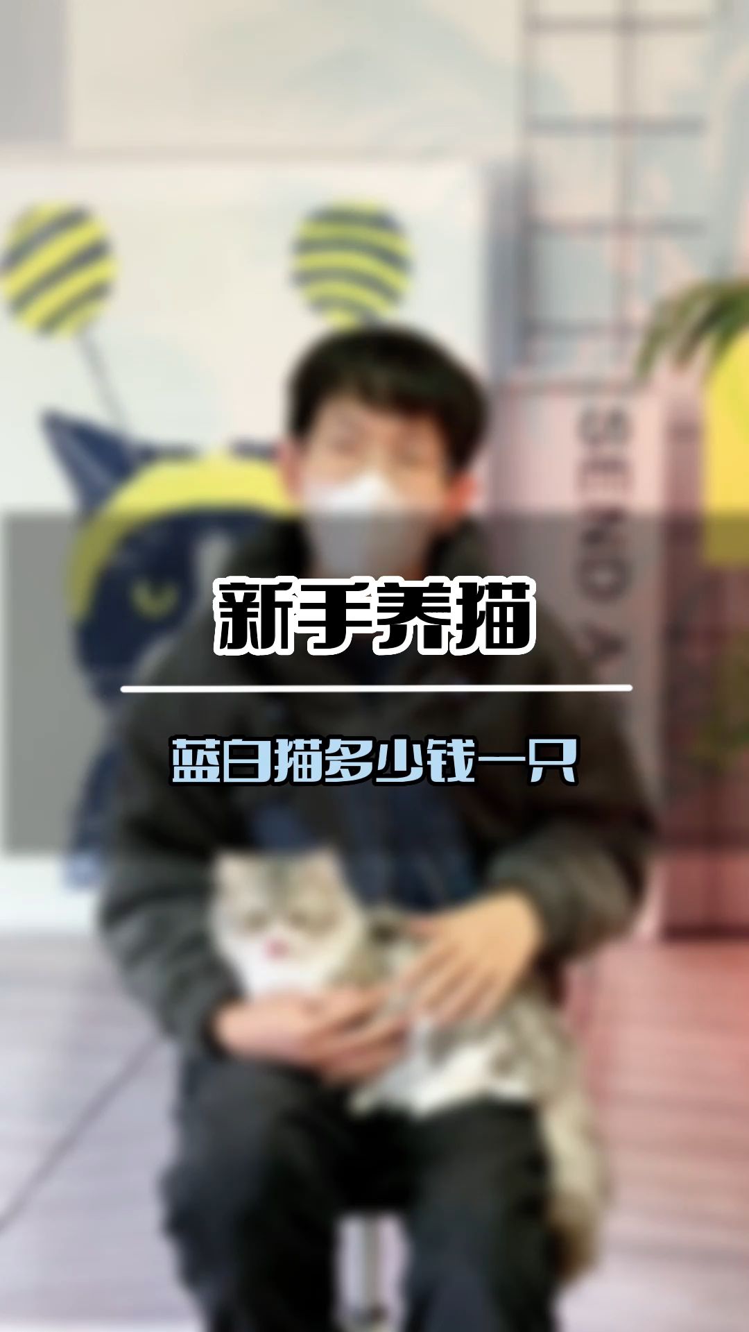 蓝白猫多少钱一只(B123)哔哩哔哩bilibili