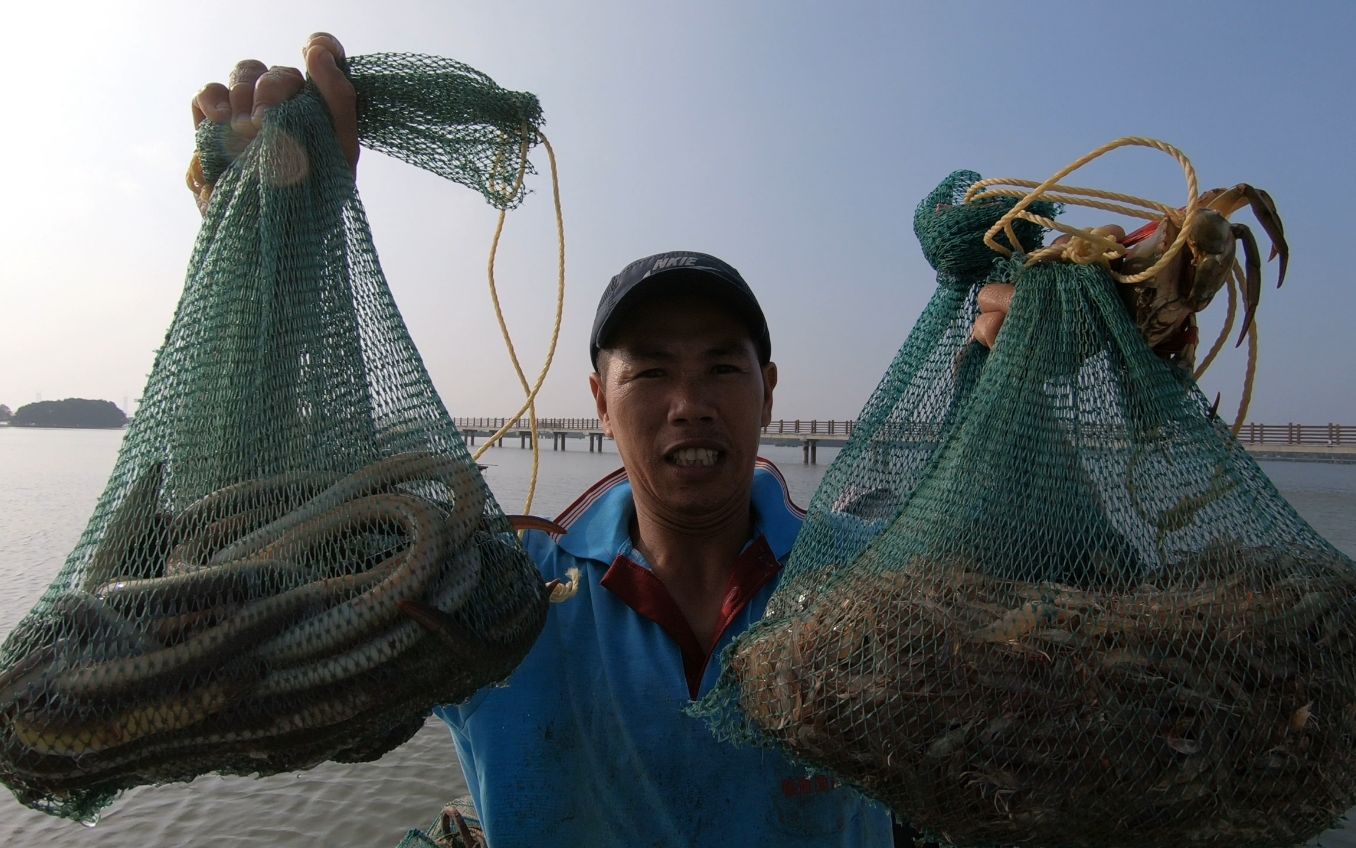 小池把值钱海鳗的老巢一窝端一条接一条这样的赶海才叫过瘾