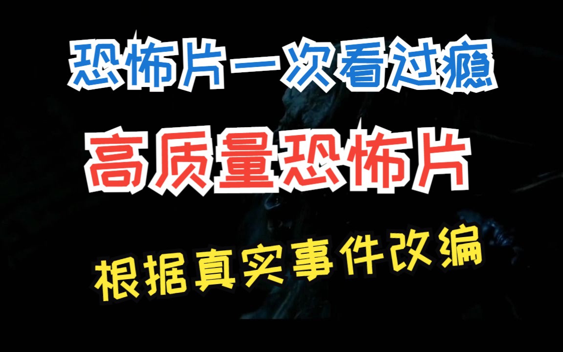 恐怖片一次看过瘾,质量最高的恐怖片,根据真实事件改编哔哩哔哩bilibili