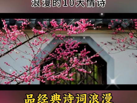 古代浪漫的10大情诗哔哩哔哩bilibili