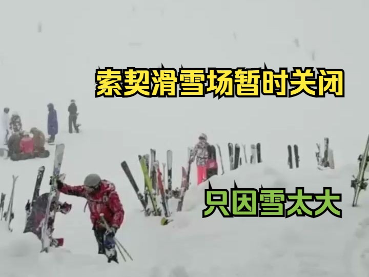 索契大雪让人无法滑雪哔哩哔哩bilibili