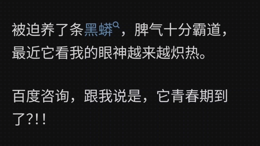 被迫养了条黑蟒,脾气十分霸道,最近它看我的眼神越来越炽热.百度咨询,跟我说是,它青春期到了?!!就离谱,它一条蟒蛇有青春期就算了,盯着我怎...