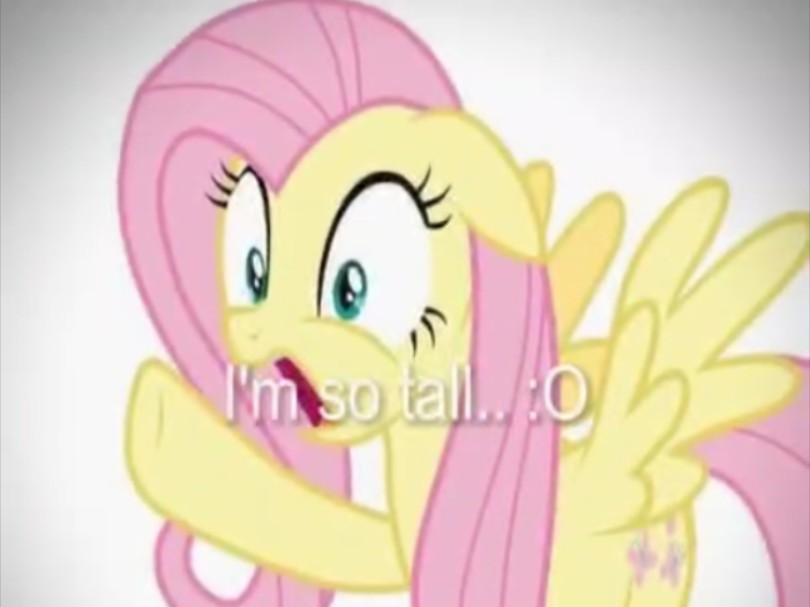 i just threw out the love of my dreams