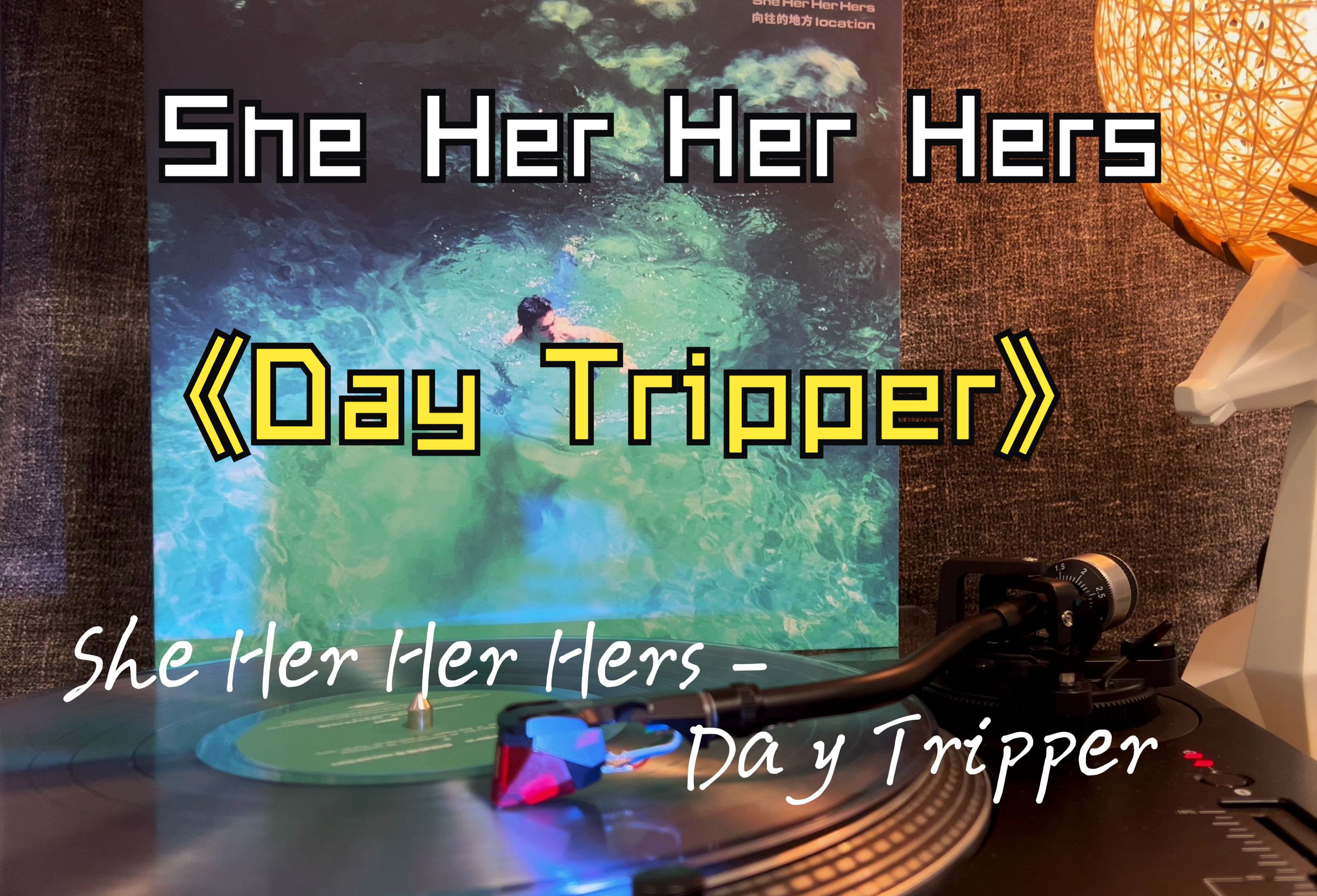 she her her hers ‖ day tripper —— location