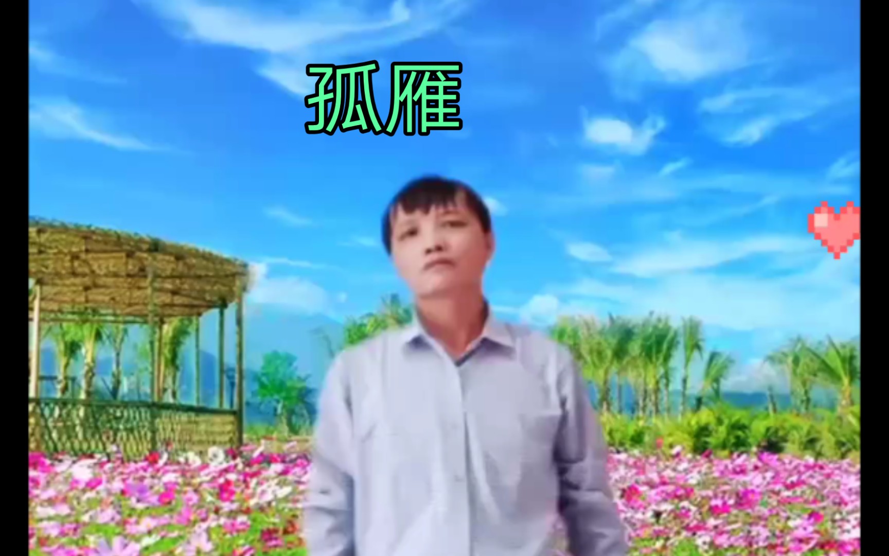 [图]舞曲《孤雁》