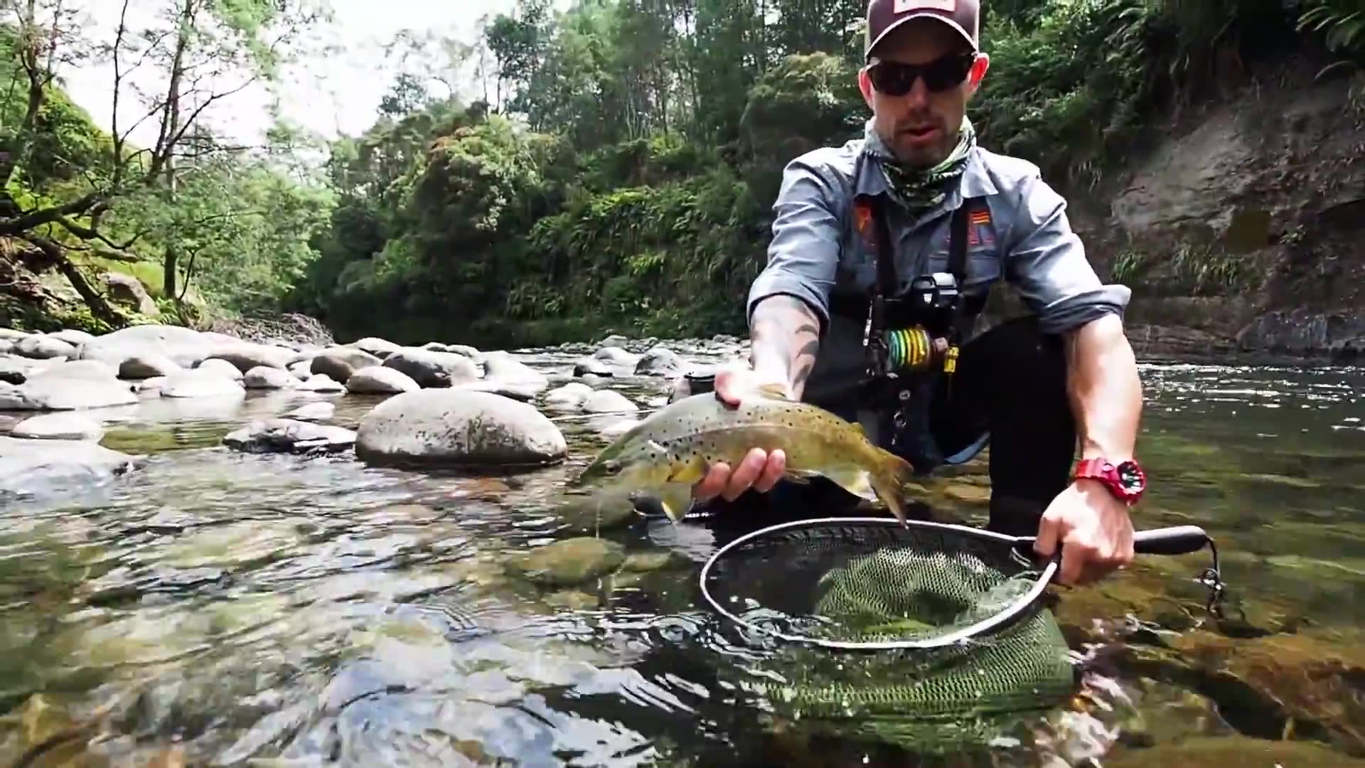 [图]【Fly Fishing】新西兰自然山溪飞钓