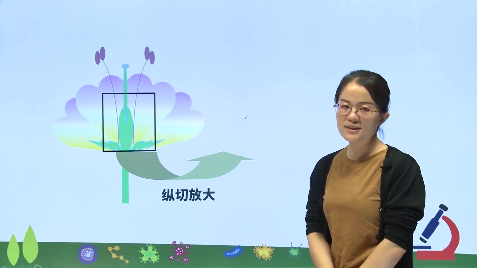 [图]七年级生物：开花和结果，学会考试不丢分