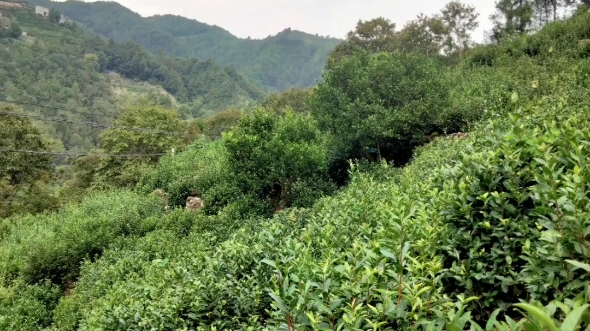 [图]美丽的乡村风光的风景乡村图片 纯音乐