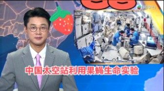 【TVB翡翠台】六点半新闻:中国太空站利用果蝇生命实验哔哩哔哩bilibili