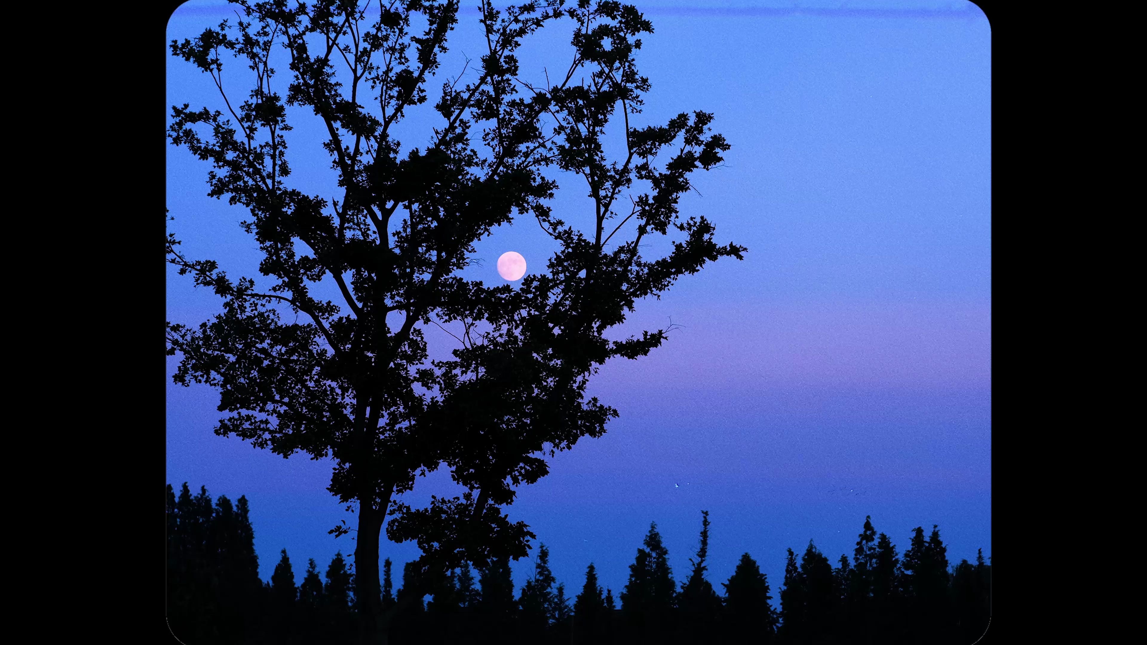 富士短片 夏日夜晚