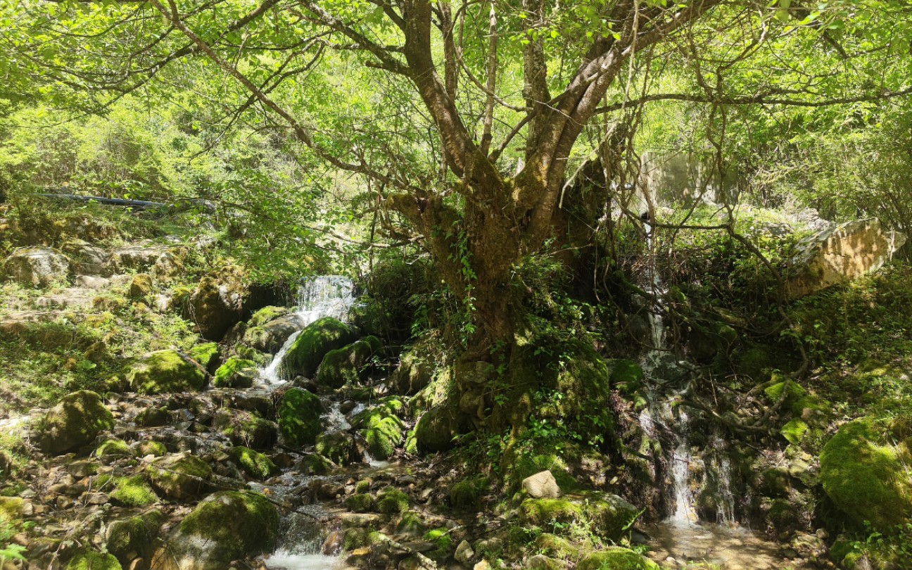 孟屯河谷老君沟二棚河谷