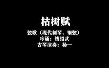 琴歌《枯树赋》《短歌行》 钱绍武歌 杨一琴哔哩哔哩bilibili