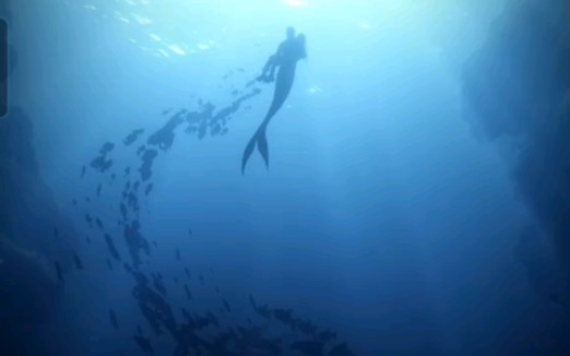 我的美男鱼 真的别太爱