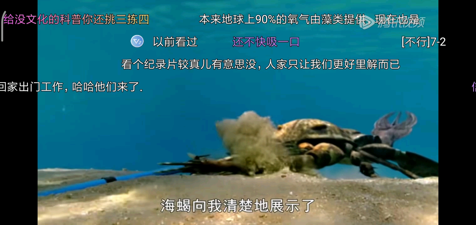 远古海洋生物海蝎哔哩哔哩bilibili