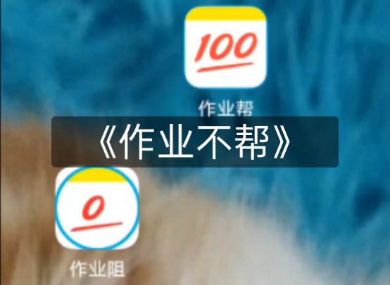 作业阻到底是什么软件啊啊啊哔哩哔哩bilibili