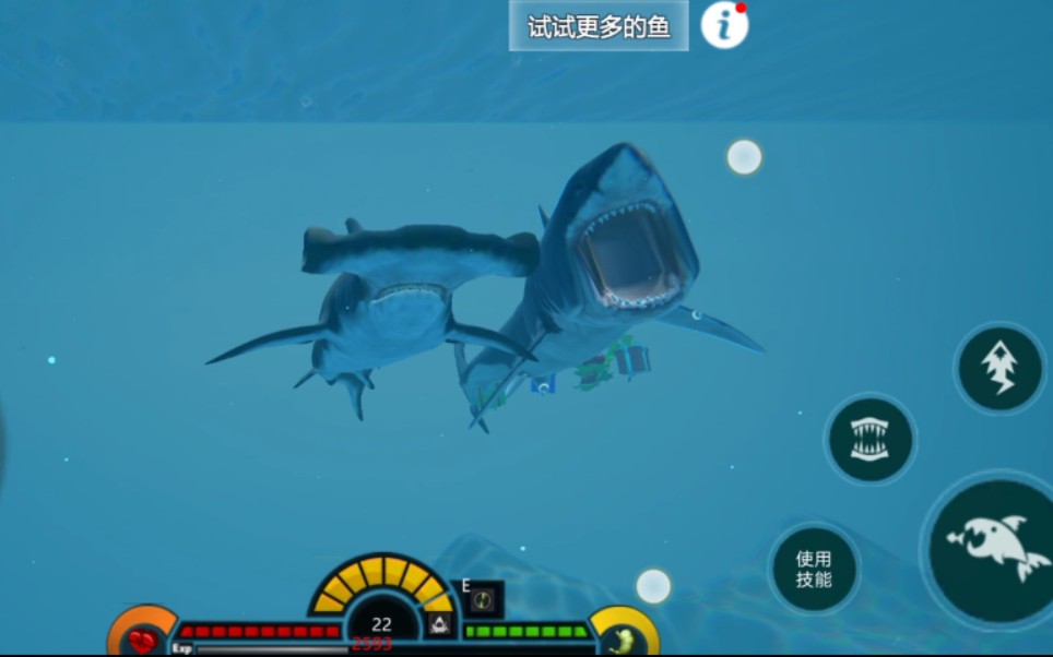 海底大猎杀:双髻鲨宝宝成神