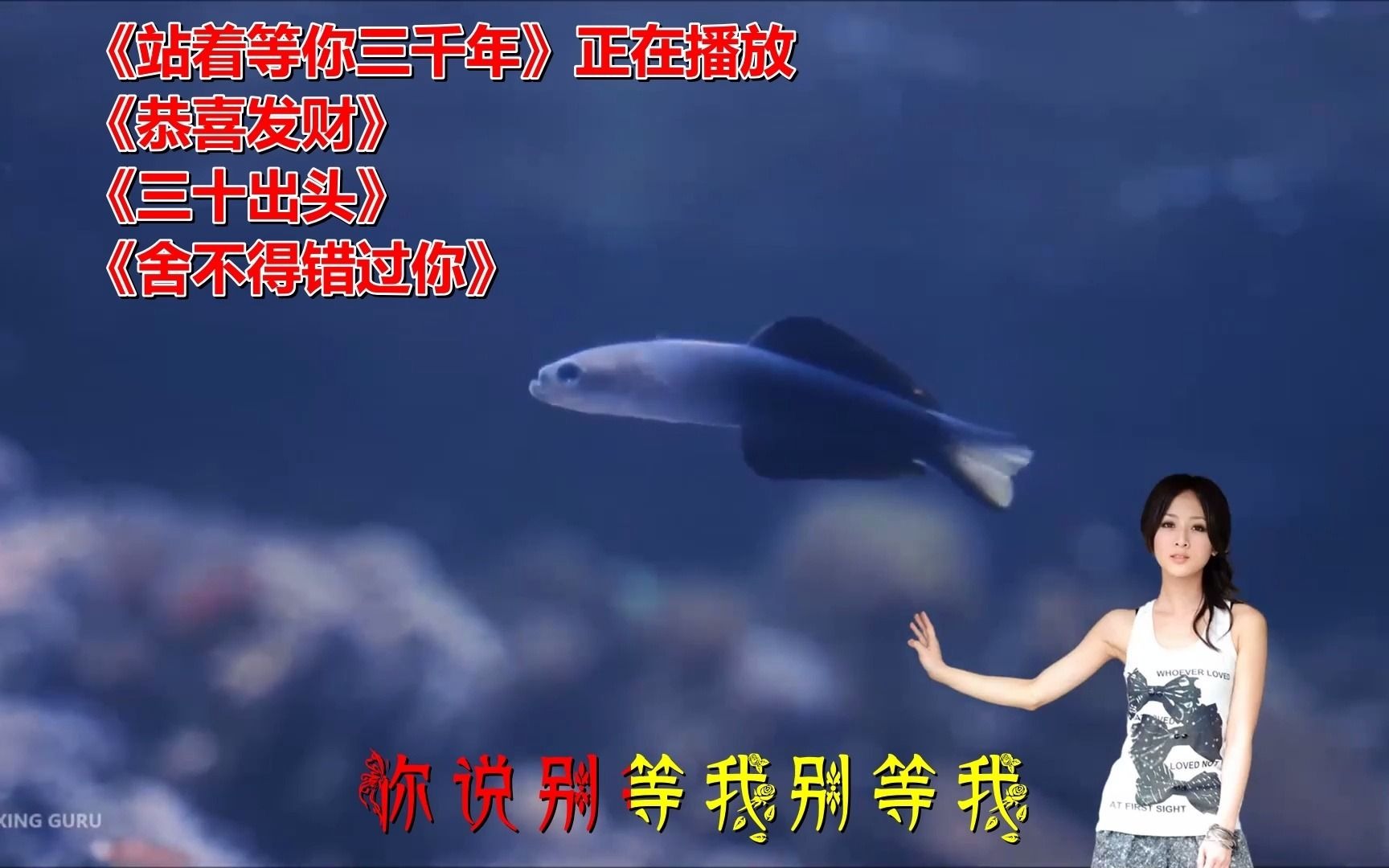 《站着等你三千年》flash音乐mv制作教程哔哩哔哩bilibili