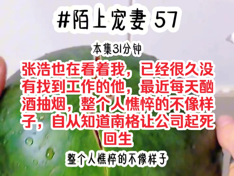 [图]《陌上宠妻 57》张浩也在看着我，已经很久没有找到工作的他，最近每天酗酒抽烟，整个人憔悴的不像样子，自从知道南格让公司起死回生