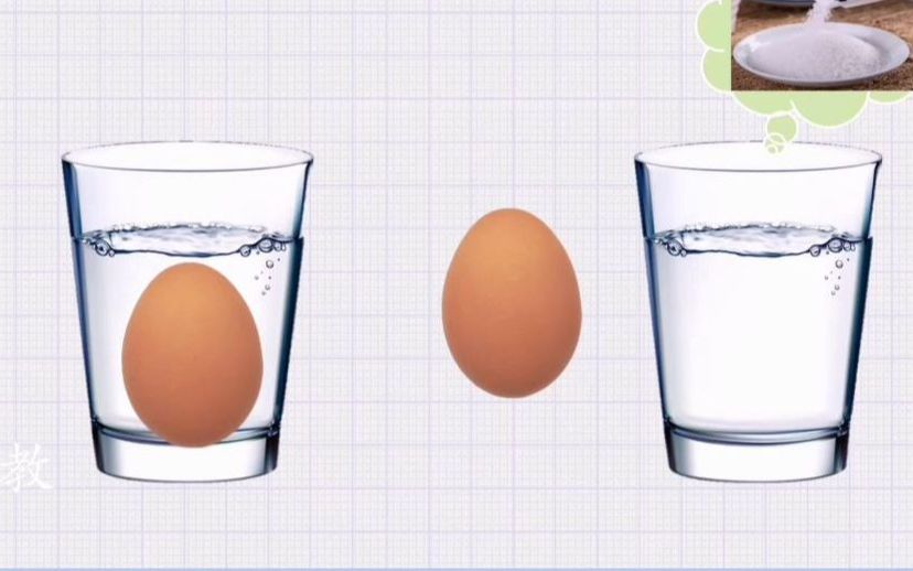 幼儿园优质微课小班科学蛋的沉浮幼儿园微课幼儿园幼儿园优质课幼儿园