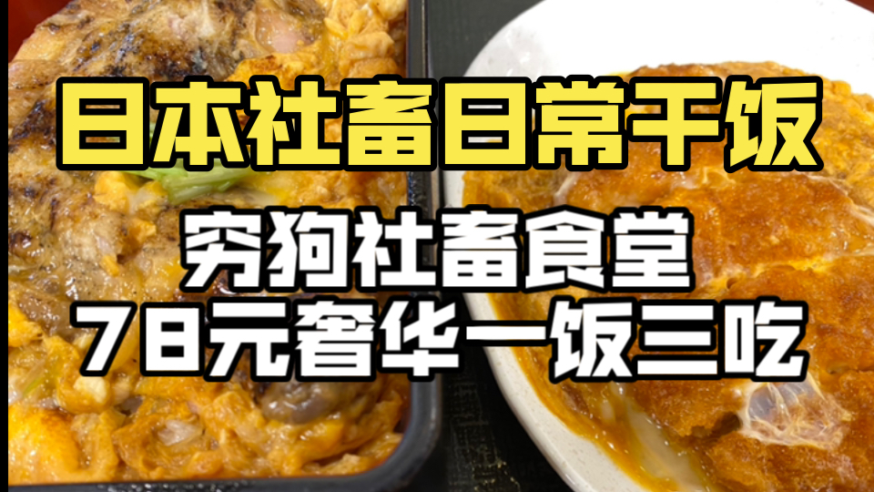 日本社畜吃点啥?不愧是穷狗社畜食堂,78元劳资今天就要一饭三吃!哔哩哔哩bilibili