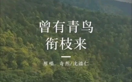 [图]【判官广播剧】主题曲【翻唱】-【曾有青鸟衔枝来】（2/4）女声一人双声线倾情演绎