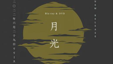 ヨルシカ・Playlist】月光・再演_哔哩哔哩_bilibili