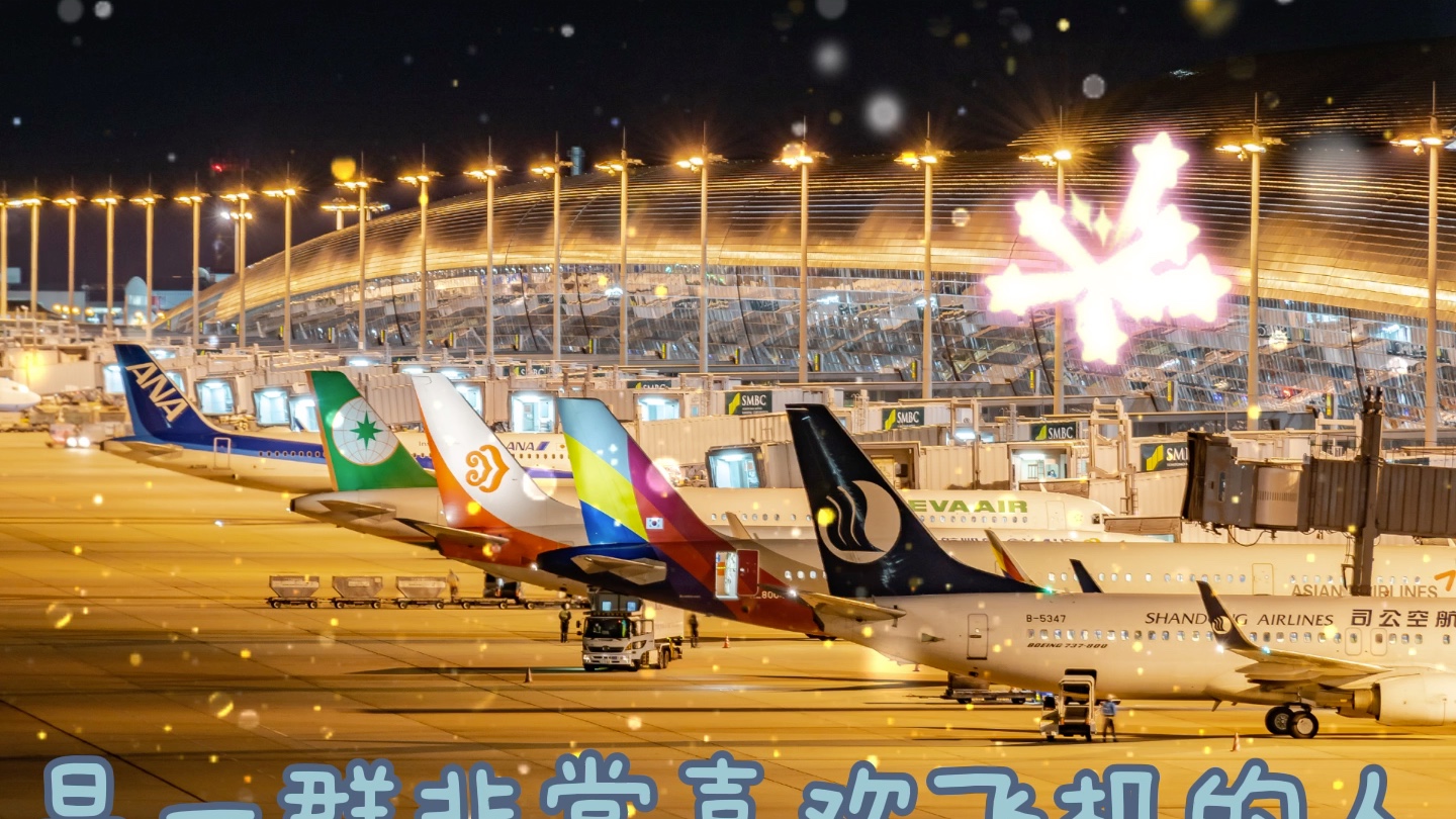 致我们最可爱的飞友_哔哩哔哩 (゜-゜)つロ 干杯~-bilibili