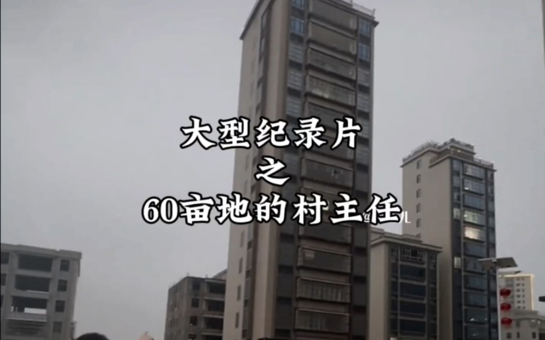 村主任拥有60亩地,40亩地都已盖成豪华别墅,对此你怎么看?哔哩哔哩bilibili