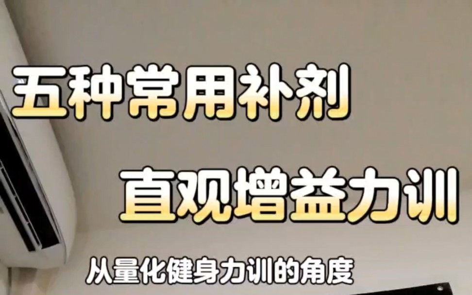 五种能直观增益健身力训的补剂;量化审视补剂作用,增益周期训练效率.哔哩哔哩bilibili