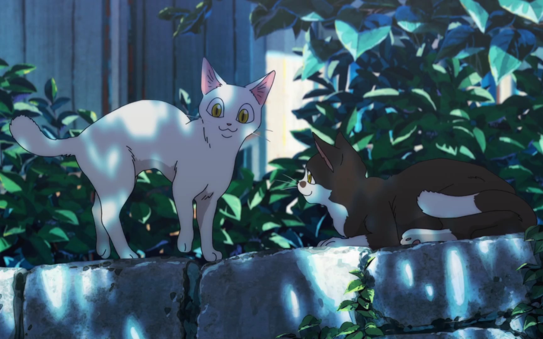 海边的异邦人&青梅屿